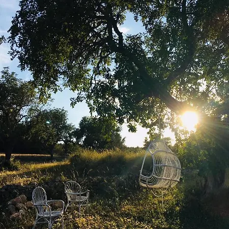 Holiday home Canfirella Portocolom